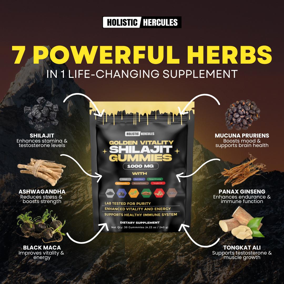 6 in 1 Shilajit Gummies