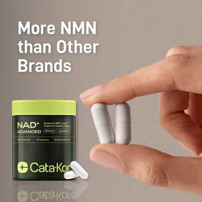 NAD+ Supplement with Resveratrol & Quercetin