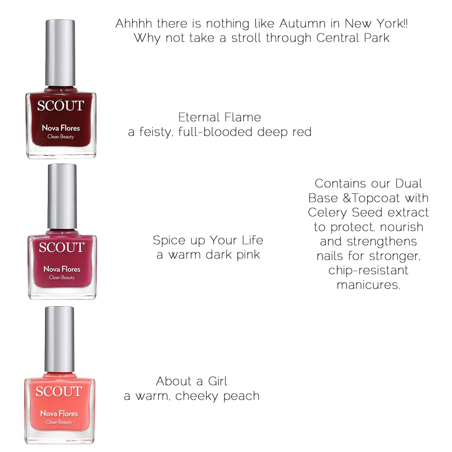 Capture the Essence of Autumn in New York