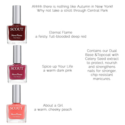 Capture the Essence of Autumn in New York