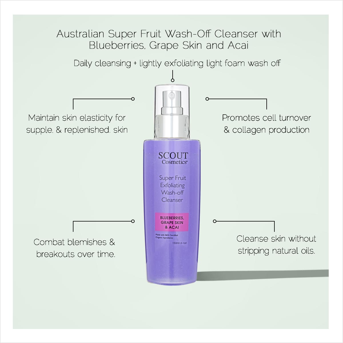 Super Fruit Wash-Off Cleanser with Blueberries, Grape Skin and Acai